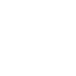 AssetType_CoreComponent